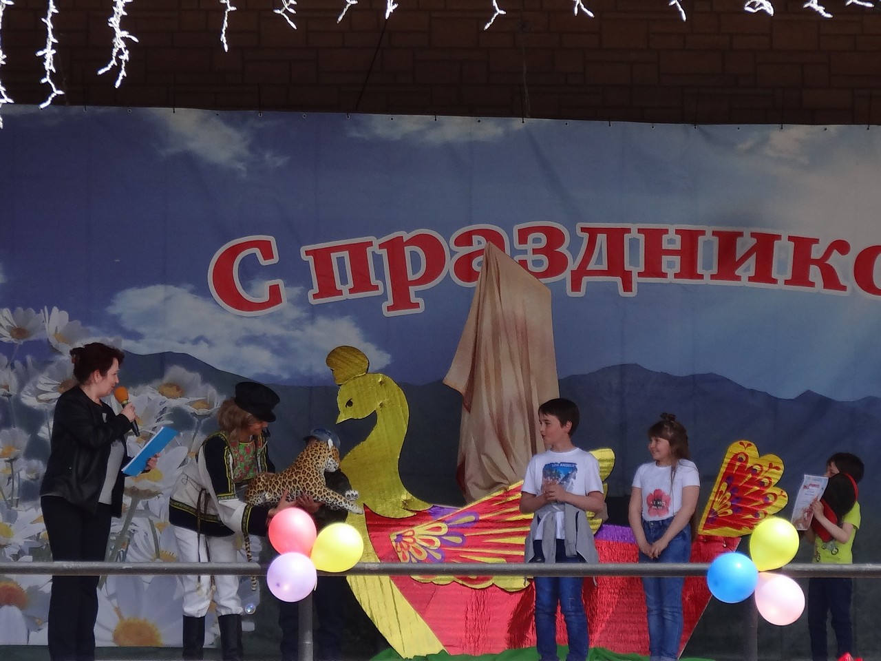 DSC08737 (2)