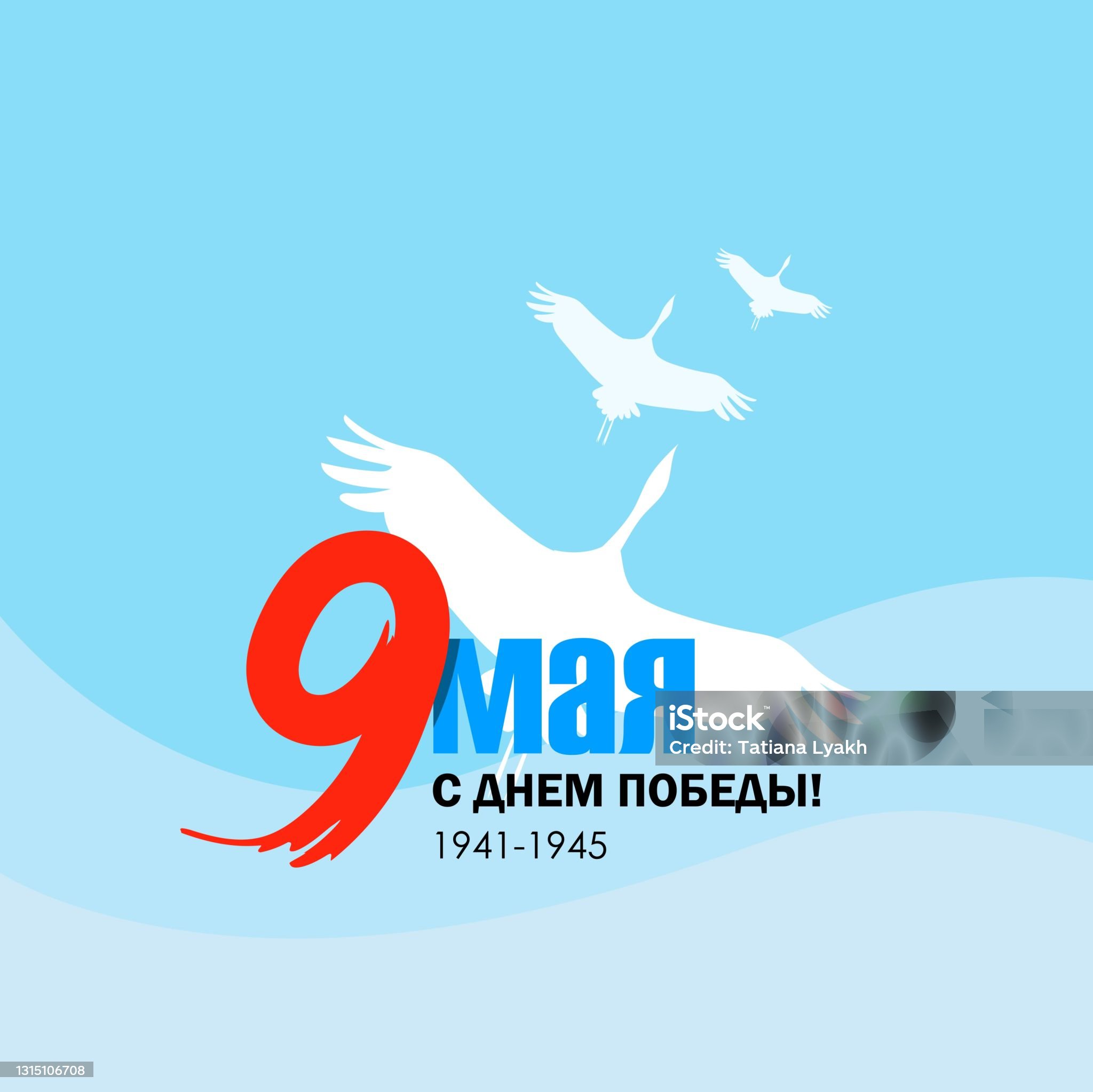 istockphoto 1315106708 2048x2048